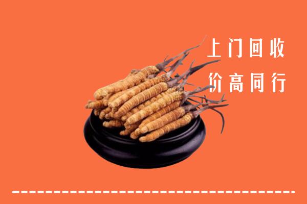 高价求购：林芝市察隅回收散虫草