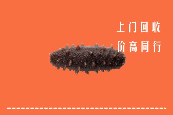 高价求购：林芝市察隅回收海参