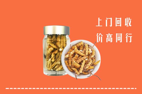 林芝市察隅回收冬虫夏草