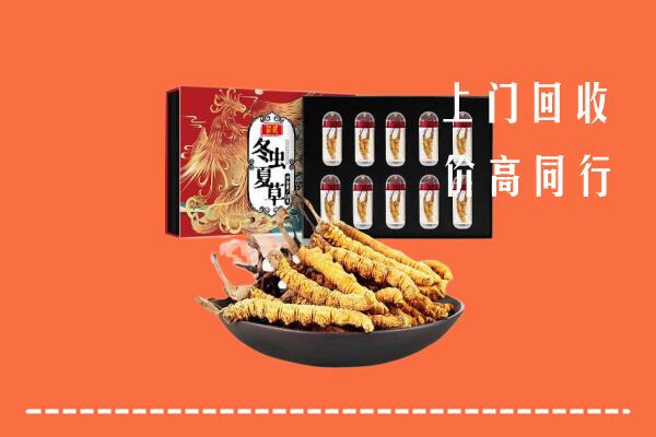 林芝市察隅回收虫草